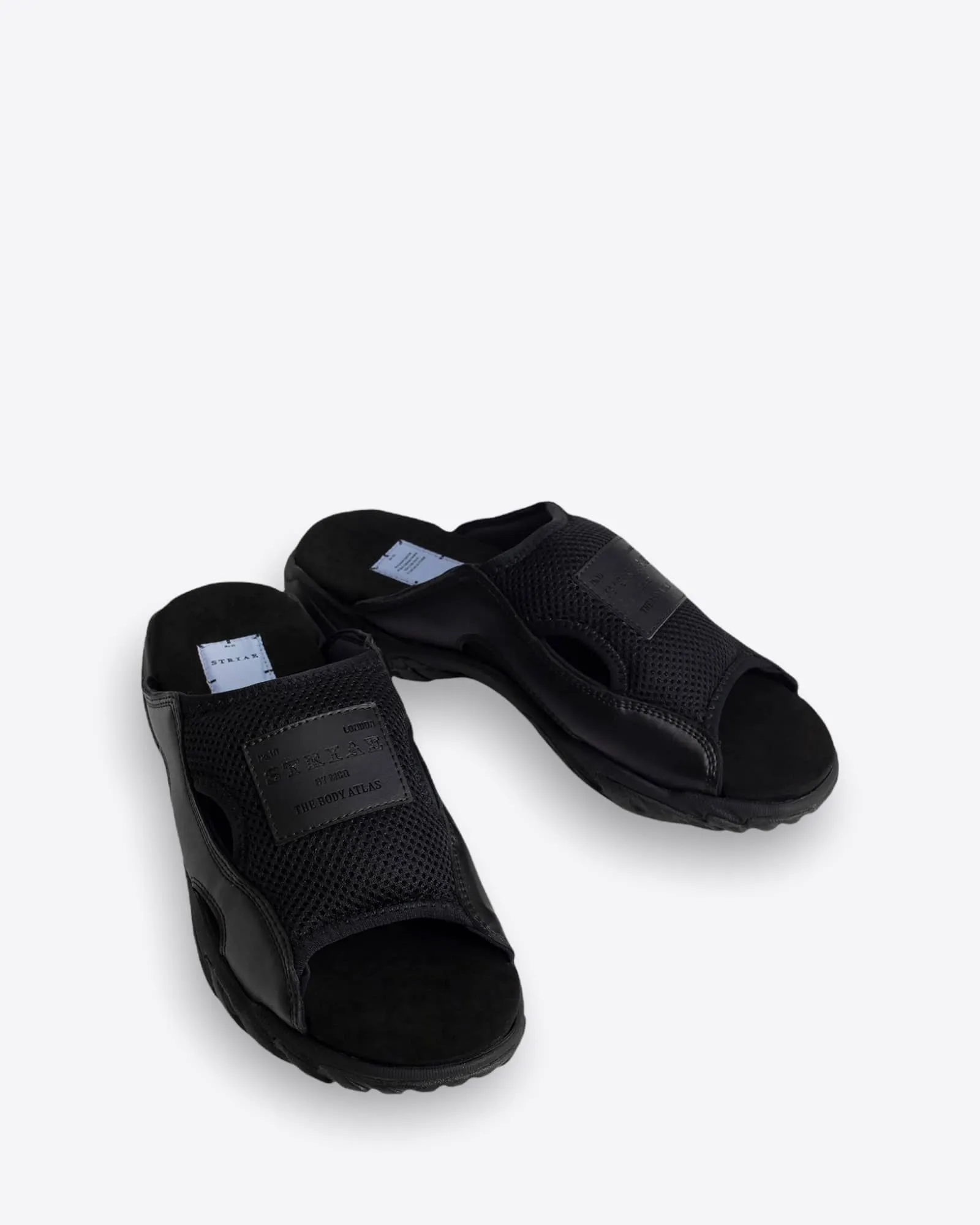 S10 Striae Slides