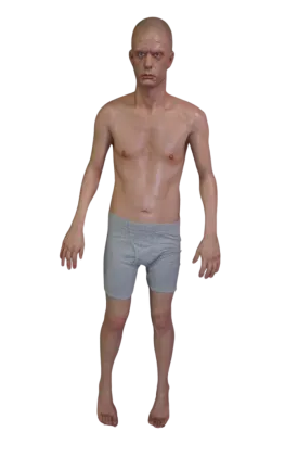 Standing Dura Frank Body